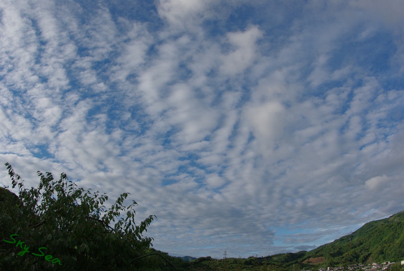 IMGP5196.jpg