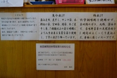 3_20141123020348479.jpg