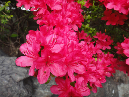 DSC00094.jpg
