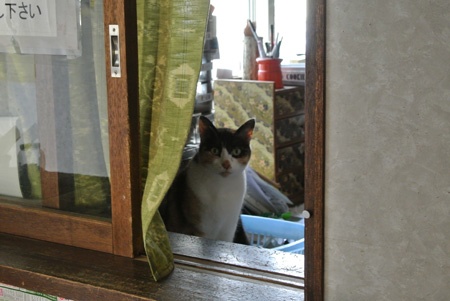 DSC_0103.jpg