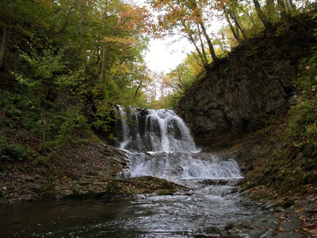 RIMG0037.jpg