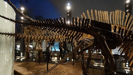 20130101c.jpg