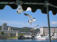 IMG_0027_convert_20120516095310.jpg