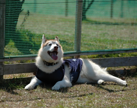 DSC_1212.jpg
