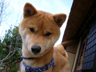 画像 052