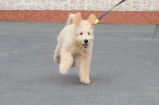 DSCN0360.jpg