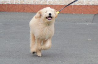 DSCN0361.jpg