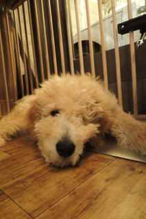 DSCN1037.jpg