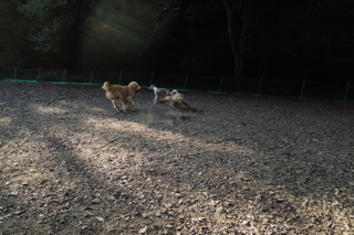 DSCN3070.jpg