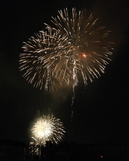 IMG_2999.jpg