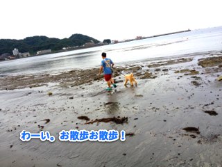 IMG_3331.jpg