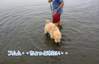 IMG_3335.jpg