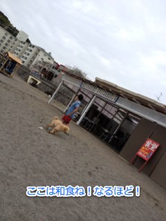 IMG_3347.jpg