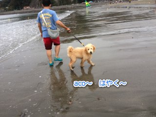IMG_3352.jpg