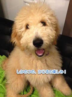 IMG_3415.jpg
