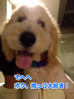 IMG_3453.jpg