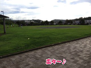 IMG_3561.jpg