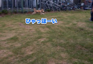 IMG_3588.jpg
