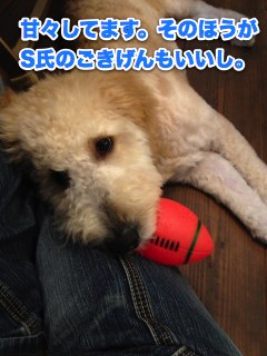 IMG_3608.jpg