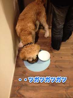 IMG_3830.jpg