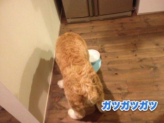 IMG_3831.jpg