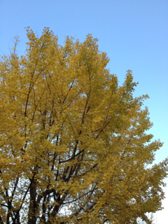 IMG_5054.jpg