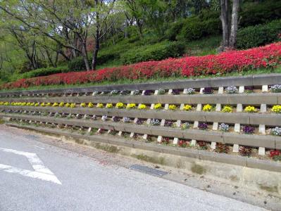 登り道
