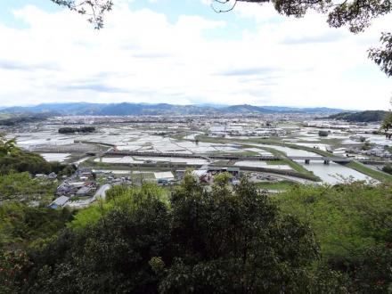 南東展望