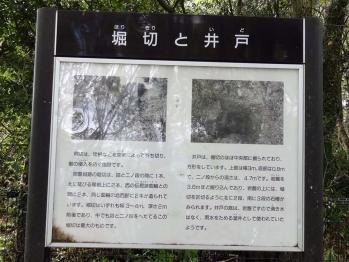 DSC03725.jpg