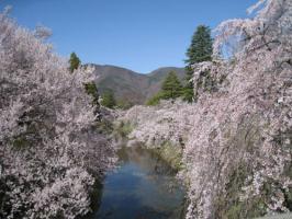 20130413上田城1