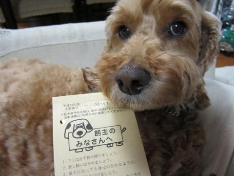IMG_0136_20120517202944.jpg