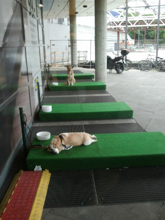 Ikea-Dog-Parking-2.jpg