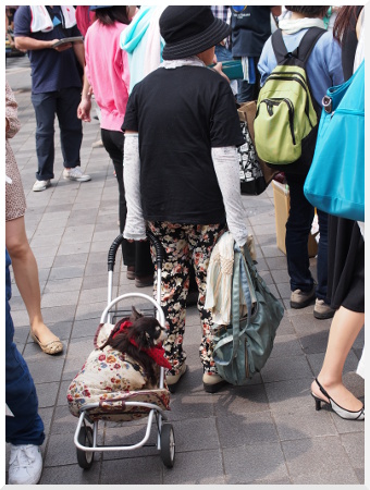 P5261551-1.jpg