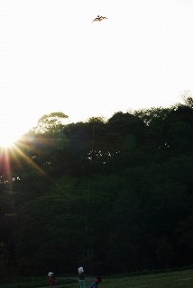 DSC_0112a.jpg