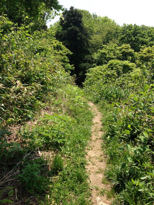 IMG_0568.jpg