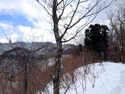 IMG_1572.jpg