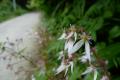 120610_091229_R.jpg