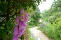 120610_133748_R.jpg