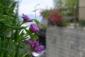 120610_134109_R.jpg