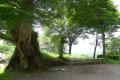 120610_134236_R.jpg