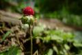 120610_141543_R.jpg