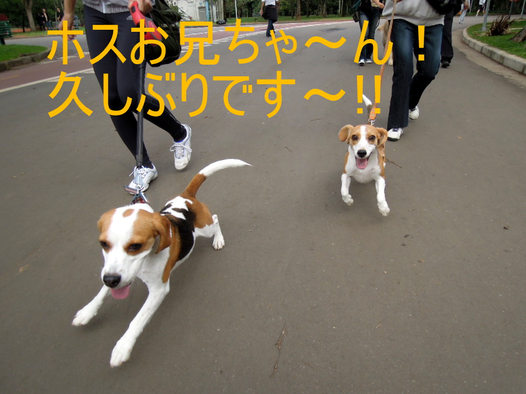 DSCN7152-1.jpg