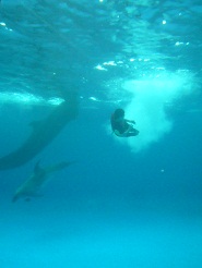 2011082122.jpg