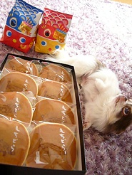 2012050102.jpg