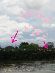2012050106.jpg