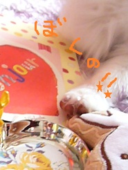 2012050108.jpg