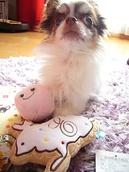 2012050203.jpg