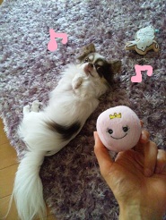 2012050204.jpg