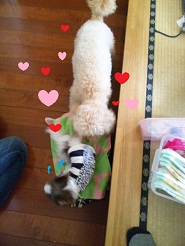 2012050205.jpg