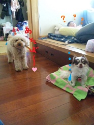 2012050206.jpg